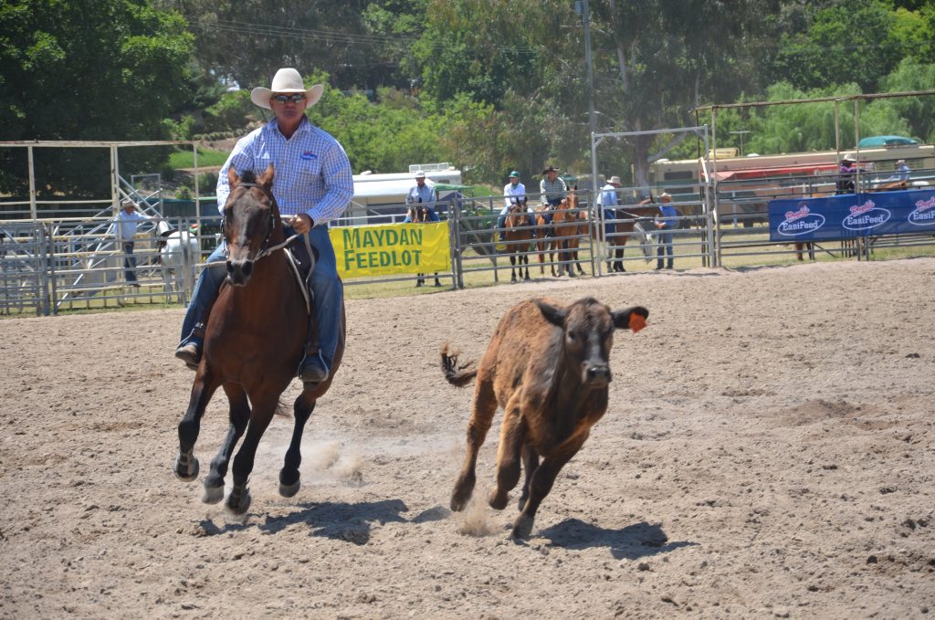 Pete Comiskey is the only man eligible to win the Triple Crown Campdraft.